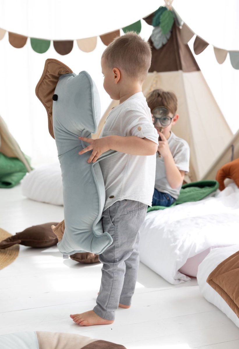Housses De Coussin Dinosaure 33x45 Cm - Lot De 2, Velours, Imprimé Plantes Tropicales, Déco Chambre Enfant - 8